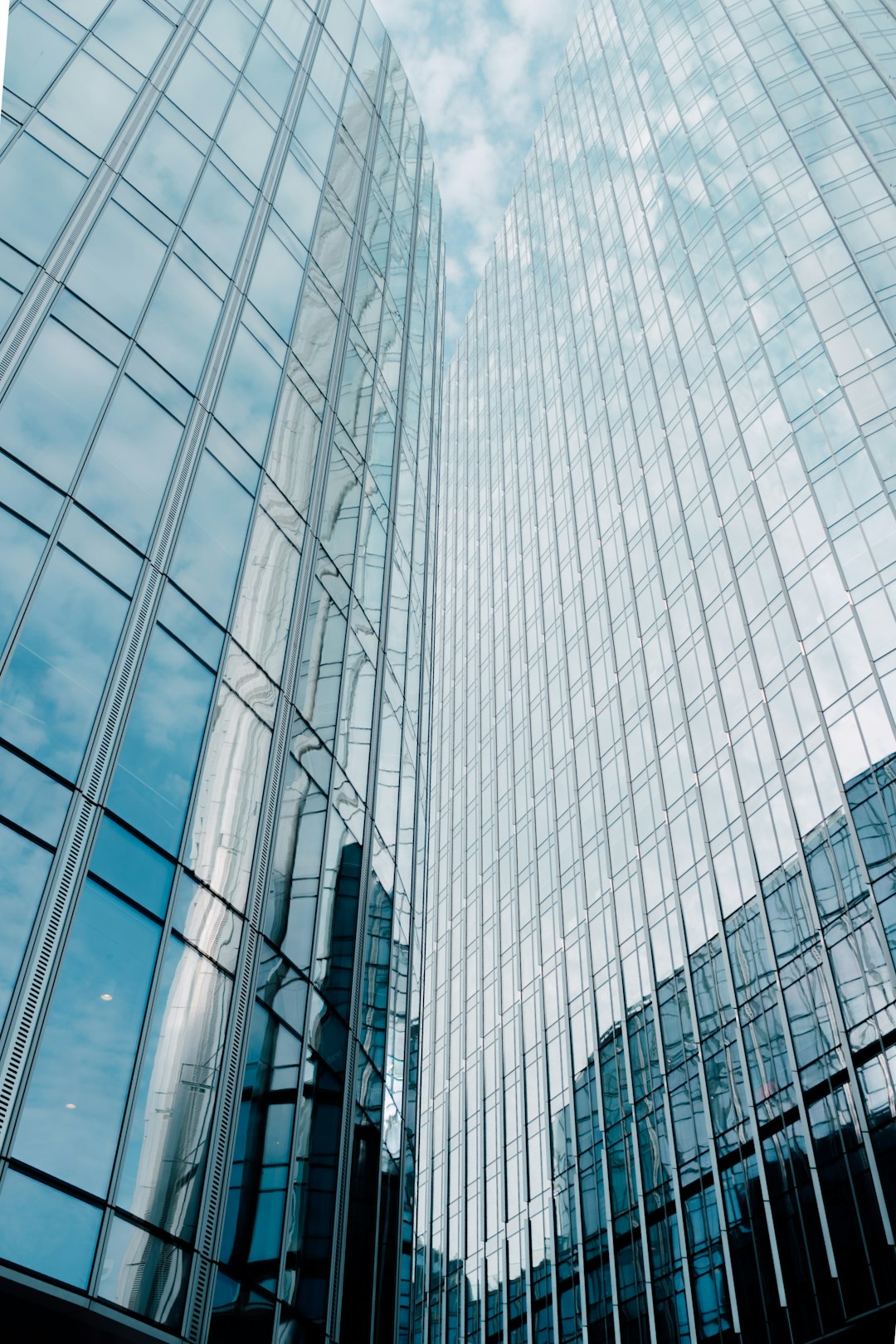 כיצד לבחור רואה חשבון מקצועי שילווה את העסק שלך לשגשוג